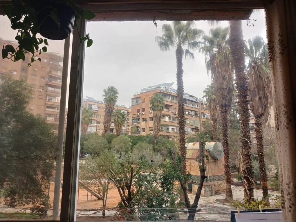 دمشق شارع برن